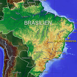 Gelbfieberausbruch in Brasilien